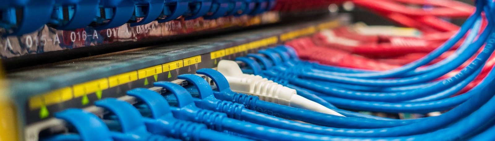 Echovia Contact Banner